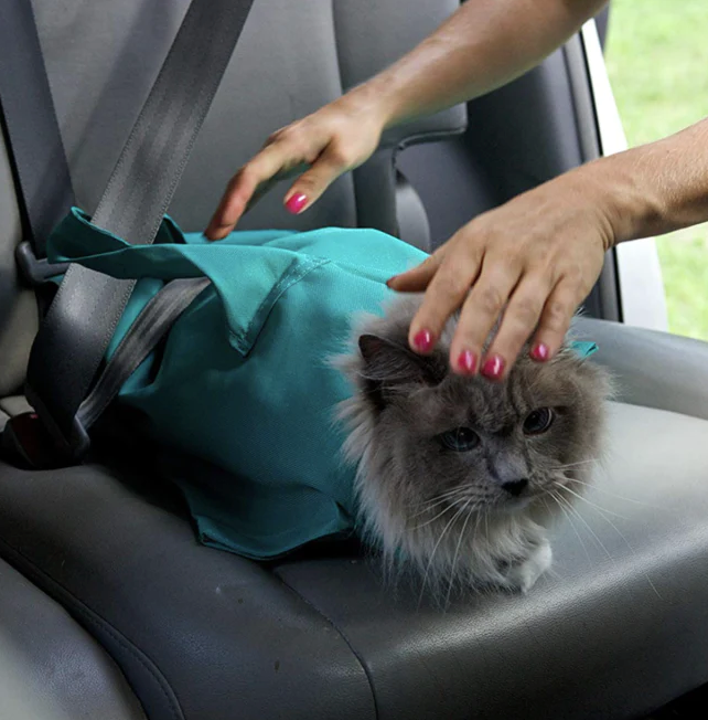 CAT CARRIER POUCH | PEKATI